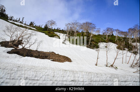 La neve sul monte Iwate in estate nel Tohoku, Giappone. Mt Iwate (2038 m) è la montagna più alta di Iwate e è uno dei Giappone 100 più belle montagne. Foto Stock