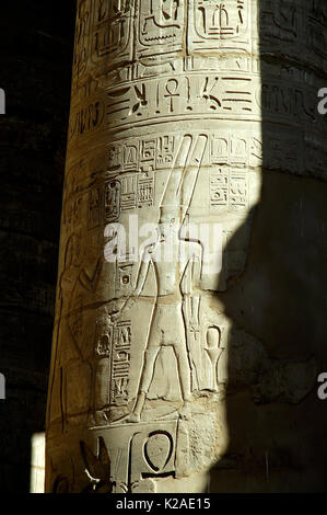 Rilievi di parete dal Tempio di Karnak e Luxor. Egitto Foto Stock