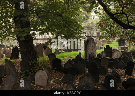 Vecchio Cimitero Ebraico (Starý židovský hřbitov) nel quartiere ebraico di Praga, Repubblica Ceca. Foto Stock