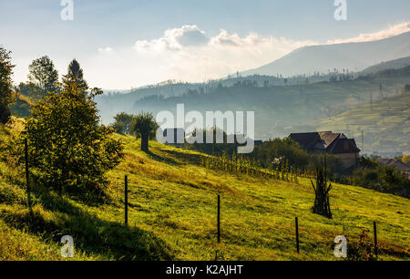 Bella campagna dei Carpazi in montagna. bellissimo paesaggio rurale a inizio autunno mattina Foto Stock