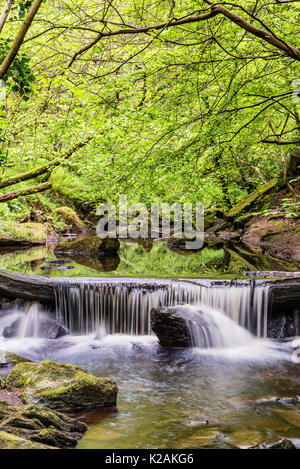 Una cascata nel maggio beck vicino a caduta di FOSS Foto Stock