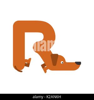 La lettera R è cane. pet font. Bassotto alfabeto. Lettering animale domestico Illustrazione Vettoriale