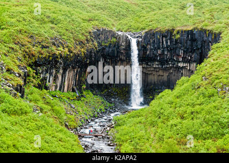Svartifoss cascata in Skaftafell con isolati di coppia - Islanda Foto Stock