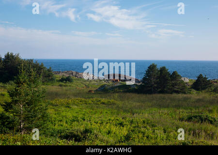 Stati Uniti Maine ME Monhegan Island vecchio naufragio su Lobster Cove Beach Foto Stock