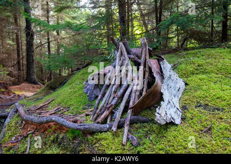 Stati Uniti Maine ME Monhegan Fairy Island house in Catherdral Boschi Foto Stock