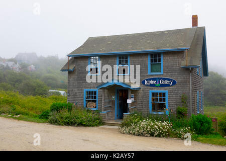 Stati Uniti Maine ME Monhegan Island il lupino galleria d'arte sulla strada principale con lavori di artisti locali Foto Stock