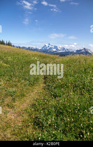L'immagine verticale con prati alpini della Skyline dividere sentiero escursionistico con Mt. Shuksan in background Foto Stock