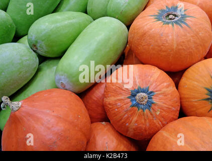 Cumulo di luce verde meloni d'inverno e vibrante di colore arancione zucca Foto Stock