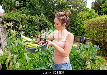 Giovane donna nel suo giardino riparto di fresco con ortaggi raccolti di granoturco dolce oro di rafano zucchine e barbabietola REGNO UNITO Foto Stock