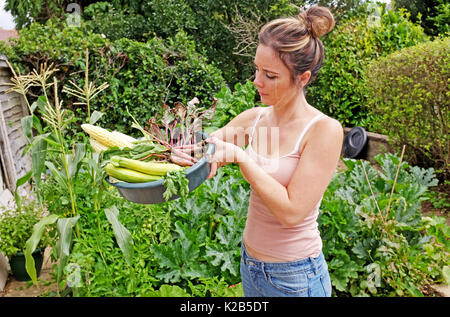 Giovane donna nel suo giardino riparto di fresco con ortaggi raccolti di granoturco dolce oro di rafano zucchine e barbabietola REGNO UNITO Foto Stock