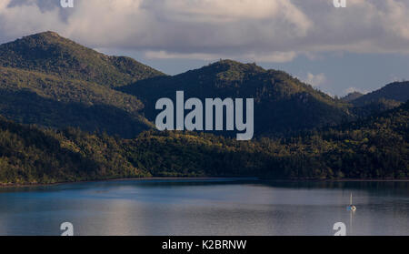 Hamilton Island, parte del Whitsunday Island gruppo, Queensland, Australia. Novembre 2012. Foto Stock