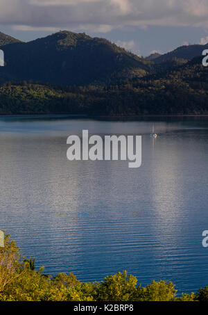 Hamilton Island, parte del Whitsunday Island gruppo, Queensland, Australia. Novembre 2012. Foto Stock