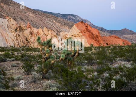 Roccia Arenaria striature compongono il Whitney tasche formazione al Gold Butte National Monument Ottobre 2, 2016 vicino a Mesquite, Nevada. Foto Stock