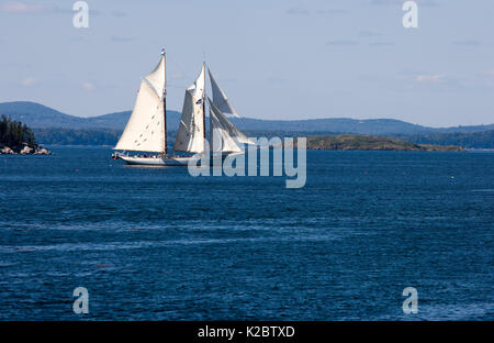 Yacht lungo la costa del Maine, Stati Uniti d'America, settembre 2008. Foto Stock