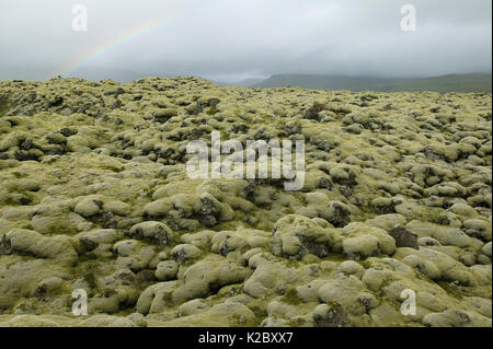 Rocce di muschio sul Eldhraun campo di lava, costa sud dell'Islanda, Agosto 2003. Foto Stock