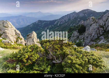 Paesaggio in Salines Mountain Range Area di interesse naturalistico, Pirenei, Girona, Catalogna, Spagna. Giugno 2015. Foto Stock