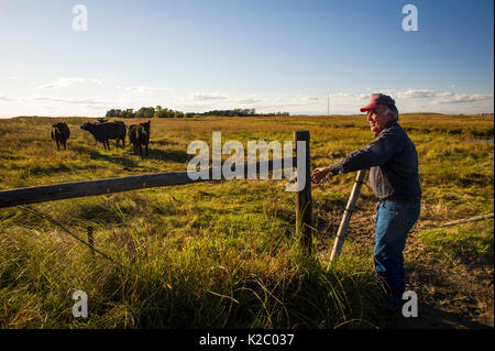 Lynn Ballagh porta di chiusura sul suo ranch di bestiame, Sandhills del Nebraska, Garfield County, Nebraska, Stati Uniti d'America. Foto Stock