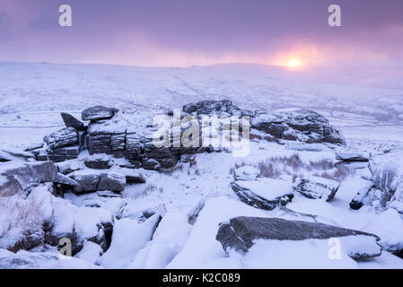 Grande fiocco Tor ricoperta di neve, all'alba, Parco Nazionale di Dartmoor, Devon, Regno Unito. Gennaio 2015. Foto Stock