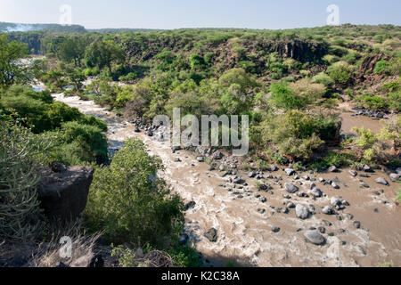 Inondata river, inondato National Park, regione di Afar, Great Rift Valley, Etiopia, Africa, marzo 2009. Foto Stock