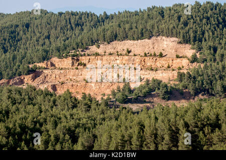 Radura (pino) taglio Mantoudi, nella parte settentrionale di Eubea (Eubea) isola, la foresta del pino di Aleppo (Pinus halepensis) è stato parzialmente cancellato da un Greco Mining Company per la magnesite mining operations. La Grecia, Mediterraneo, luglio 2014. Foto Stock