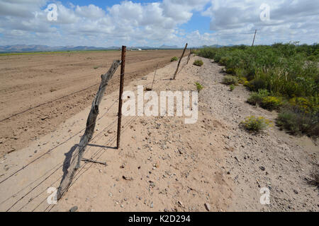 Deserto vicino a San Simon, recentemente preparato per la coltivazione, Arizona, Stati Uniti. Settembre 2013. Foto Stock