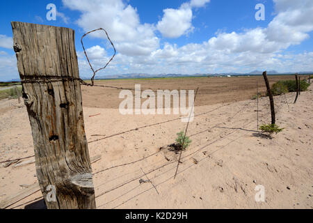 Deserto vicino a San Simon, recentemente preparato per la coltivazione, Arizona, Stati Uniti. Settembre 2013. Foto Stock