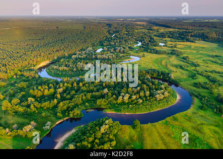 Vista aerea di Rver Koiva, e il confine tra Estonia e Lettonia nel sud dell'Estonia, Valgamaa, Estonia. Agosto 2014. L'Estonia è sul lato sinistro del fiume e la Lettonia sulla riva destra. Foto Stock