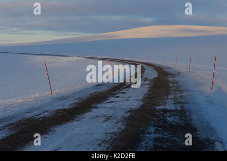 Mountain tundra road, con neve poli di marcatura, in modo che la neve aratro sa dove la strada è, Batsfjord, Penisola Varanger, Norvegia, marzo 2012. Foto Stock