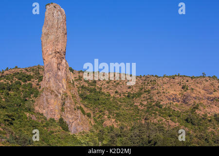 Quala Yehuanis formazione di roccia, Lago Tana Riserva della Biosfera, Etiopia, dicembre 2013. Foto Stock