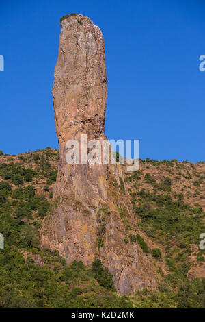 Quala Yehuanis formazione di roccia, Lago Tana Riserva della Biosfera, Etiopia, dicembre 2013. Foto Stock