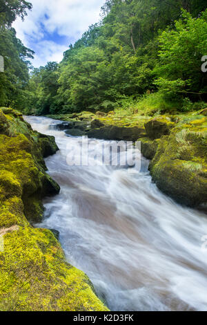 L 'hotel Astrid, Fiume Wharfe, rallentare la velocità di otturazione che mostra il movimento dell'acqua, Bolton Abbey Estate, Wharfedale, North Yorkshire, Agosto 2015 Foto Stock