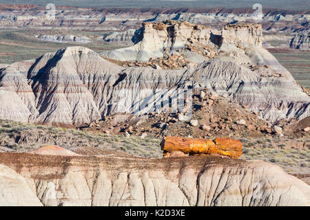Legno pietrificato nel paesaggio badlands, Parco Nazionale della Foresta Pietrificata, Arizona, Stati Uniti d'America, febbraio 2015. Foto Stock