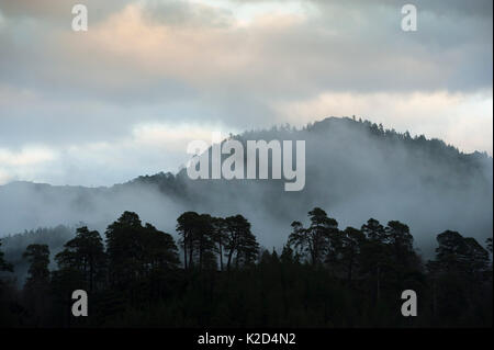 Brumoso paesaggio di montagna, Loch Beinn un Meadhoin, Inverness, Scotland, Regno Unito, dicembre 2013. Foto Stock