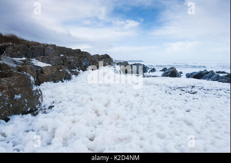 Spume sulla spiaggia di Saligo Bay, Islay, Scozia, febbraio 2014. Foto Stock