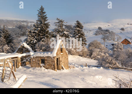 Paesaggio rurale paesaggio con rovinato croft house coperto di neve spessa su un chiaro soleggiato inverni giorno, Rogart, Sutherland, Highlands, Scotland, Regno Unito Foto Stock