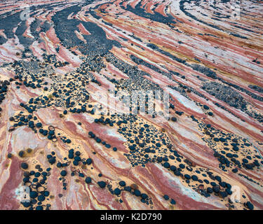 Marmi Moqui adornano un altopiano di arenaria a Escalante National Monument, Utah, Stati Uniti d'America, Ottobre Foto Stock