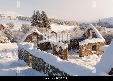 Paesaggio rurale paesaggio con rovinato croft house coperto di neve spessa su un chiaro soleggiato inverni giorno, Rogart, Sutherland, Highlands, Scotland, Regno Unito Foto Stock