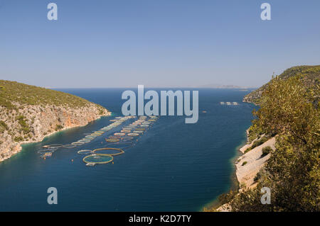 Paesaggio della fattoria di pesce con penne di flottante per le spigole e orate di mare, Selonda Bay, Argolis, Peloponneso, Grecia, Agosto 2013. Foto Stock