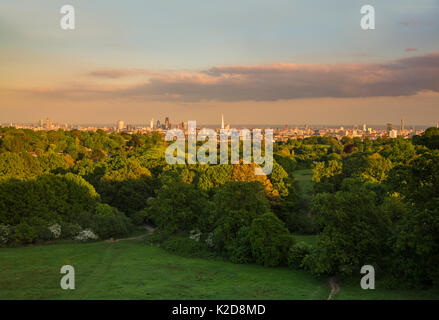 Vista della città di Londra prese da un (MEWP) Mobile elevata piattaforma di lavoro, Hampstead Heath, London, England, Regno Unito, maggio 2015. Foto Stock