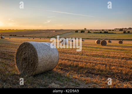 Le balle di paglia dopo il raccolto nella tarda estate del Cotswold paesaggio, Hawkesbury Upton, Gloucestershire, UK. Settembre 2015. Foto Stock