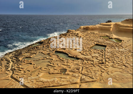 Le saline di Qbajjar Bay vicino a Marsalforn, isola di Gozo, Malta, Mediterranea Foto Stock