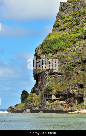 Toarutu scogliera sulla costa est dell'isola Rurutu, Australs arcipelago, Polinesia Francese Foto Stock