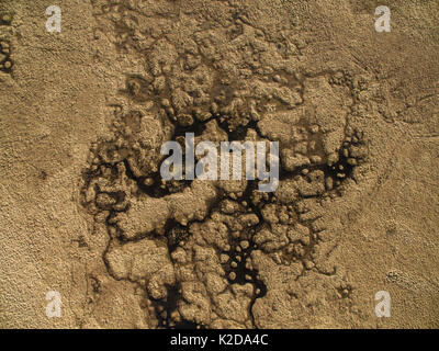 Vista aerea di un altopiano blanket bog presso la sorgente del fiume Elan, Rhayader, Wales, Regno Unito Aprile Foto Stock