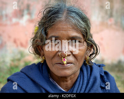 La donna indiana degli anziani Adivasi (tribù Desia Kondh, tribù Kovi Kondh) con gioielli tribali al naso e orecchini tribali d'oro pose per la macchina fotografica. Foto Stock