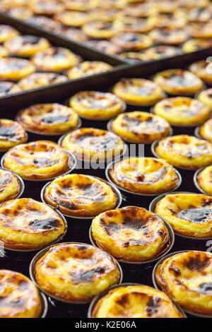 La cottura Pasteis de Belem Foto Stock