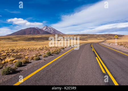 La strada attraverso il deserto di Atacama, foderato con giallo feathergrass peruviana (Jarava ichu), visibile dietro i vulcani, Ruta 23 Foto Stock