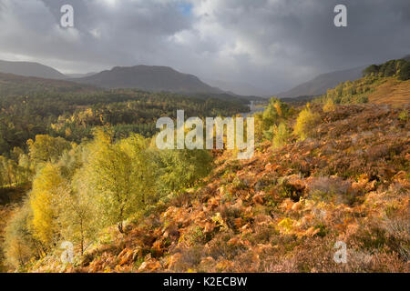 Vista ovest lungo Loch Affric di Kintail colline, Glen Affric natura nazionale Rerserve, Scozia, Regno Unito, ottobre 2015. Foto Stock