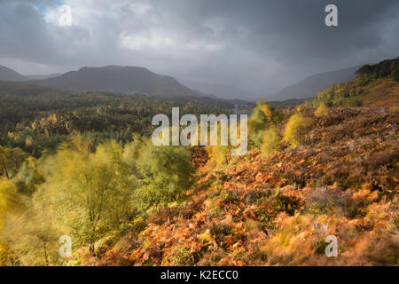 Vista ovest lungo Loch Affric di Kintail colline, Glen Affric natura nazionale Rerserve, Scozia, Regno Unito, ottobre 2015. Foto Stock