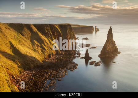 Pile del mare nella luce del mattino, Duncansby Head, John O Groats, Caithness in Scozia, Regno Unito, aprile 2015. Foto Stock