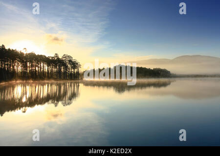 Loch Mallachie presso sunrise, Abernethy Forest, Cairngorms National Park, Scotland, Regno Unito, novembre. Foto Stock